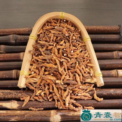 中药材九节图片