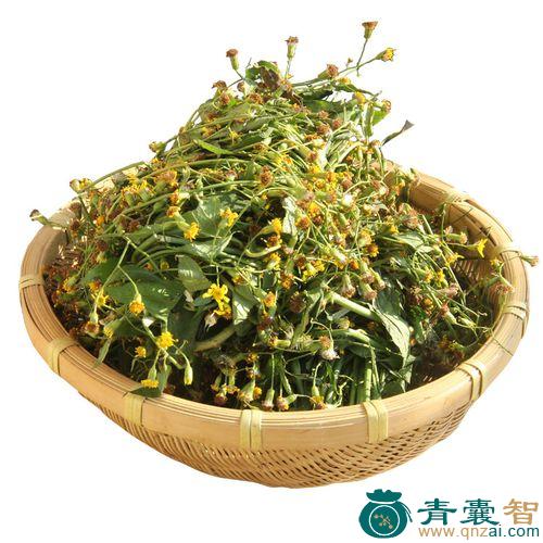中药材九里明图片