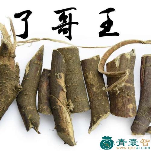 了哥舌的性状性味归经以及功效用法-青囊智