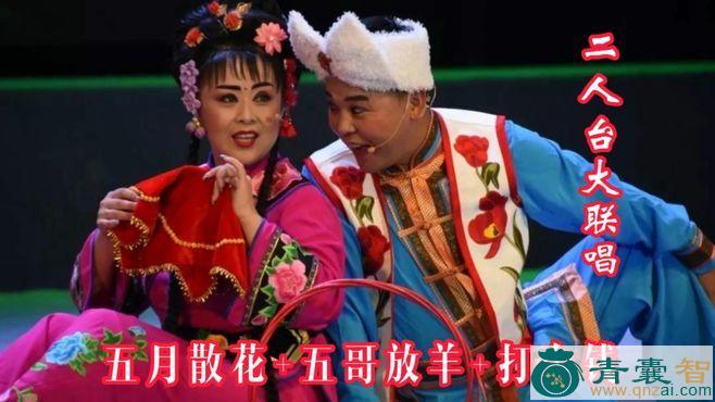 二人抬的性状性味归经以及功效用法和注意事项-青囊智
