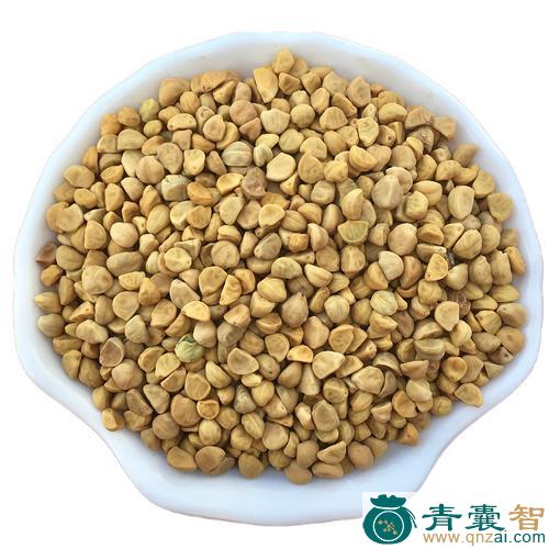 中药材二裂牵牛图片