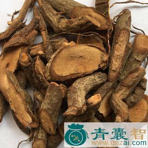 中药材云南五味子根图片
