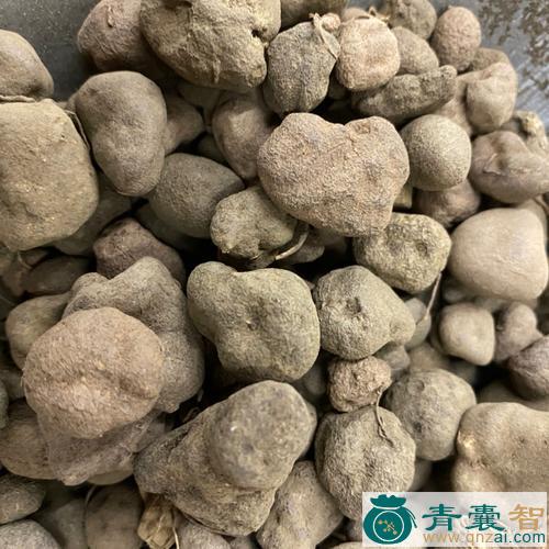 中药材云南克擂木图片