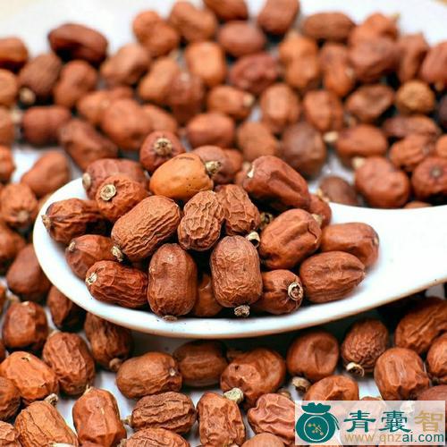 云南红豆蔻果的性味归经以及功效用法-青囊智