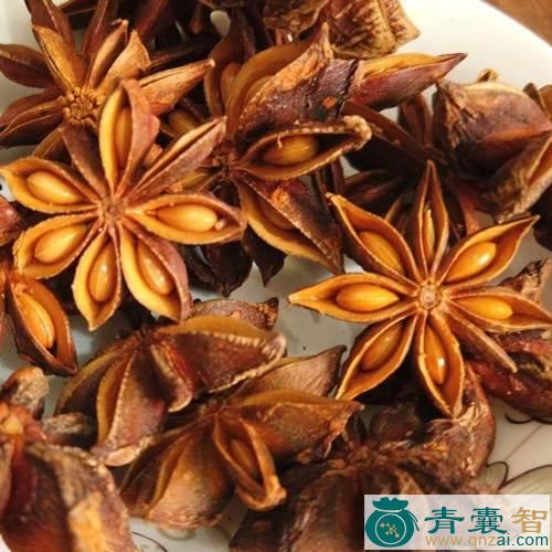 中药材云南茴香图片