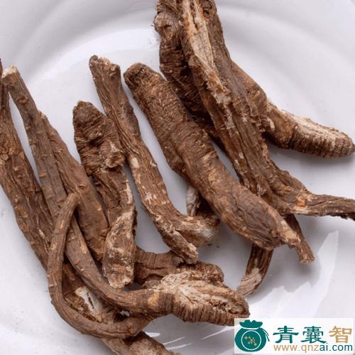 中药材云南野当归图片