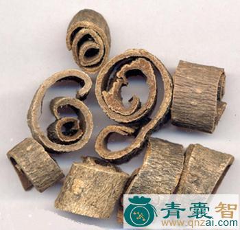 中药材云朴图片