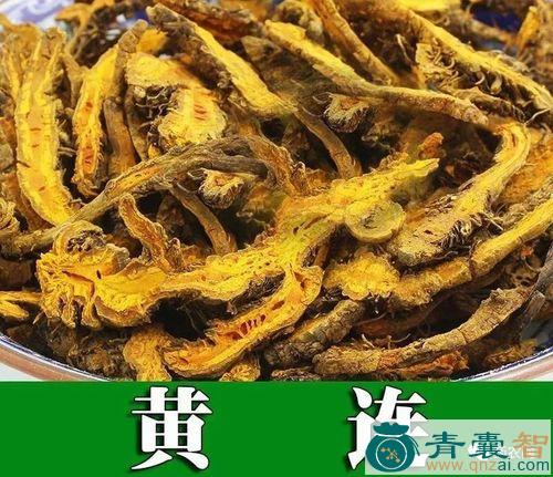 中药材五星黄图片