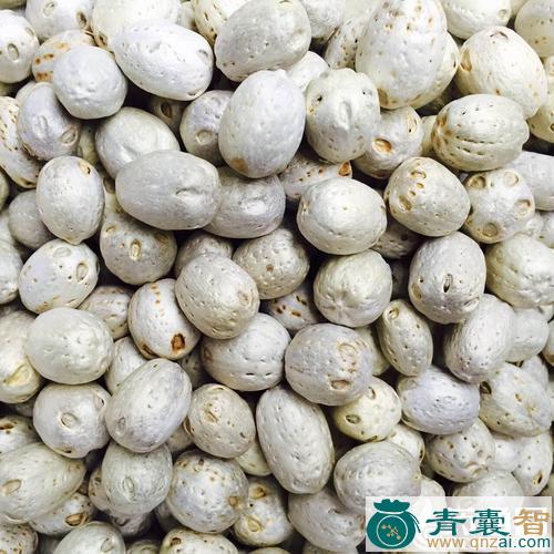 五色柰的性状性味归经以及功效用法和注意事项-青囊智