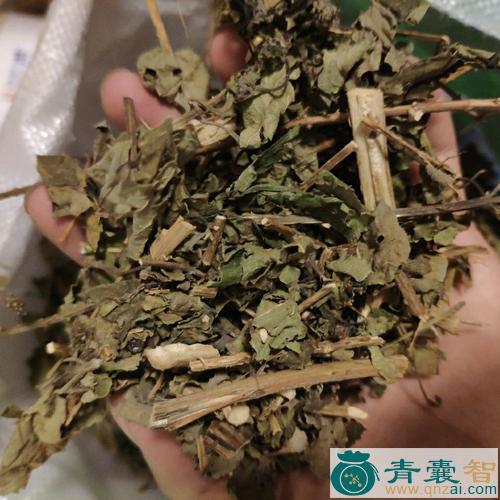 中药材五色梅根图片