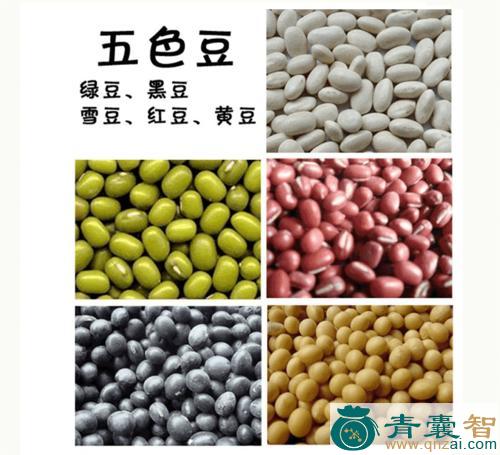 中药材五色豆图片
