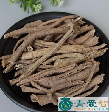 五角加皮的性状性味归经以及功效用法和注意事项-青囊智