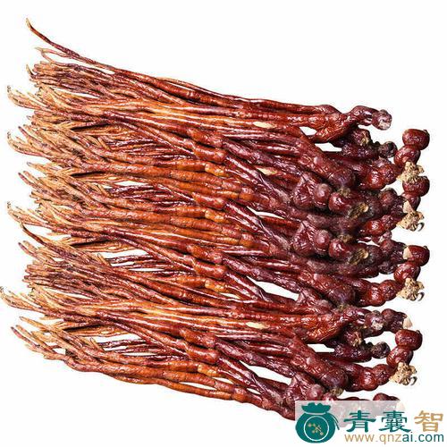 中药材亚乎鲁图片