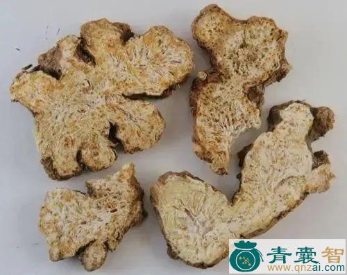 交麻的性状性味归经以及功效用法和注意事项-青囊智