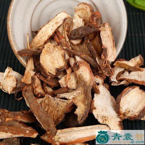 中药材亦敛图片