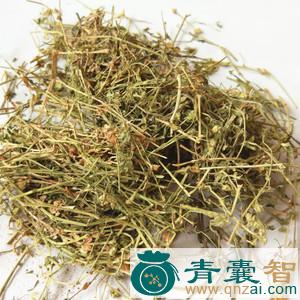 中药材亮星草图片