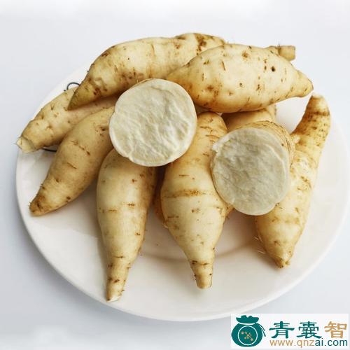 中药材人参薯图片