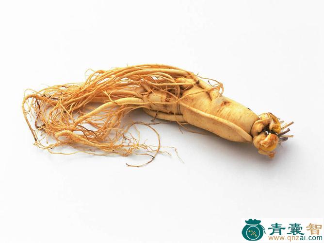 中药材人衔图片