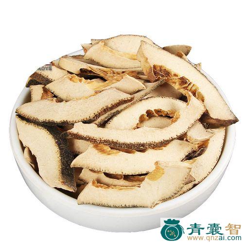 中药材仙人指壳图片