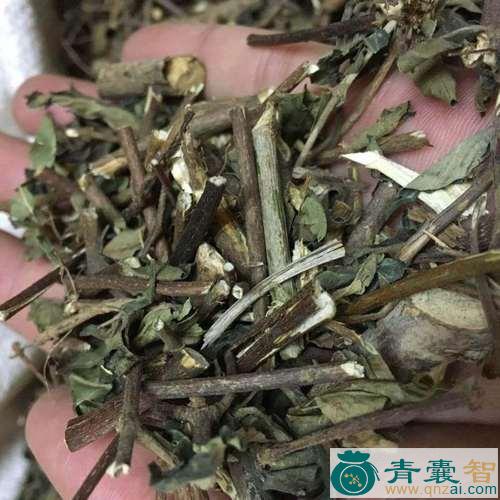 中药材仙甘藤图片