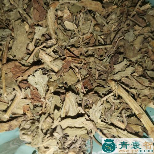 中药材仙百草图片