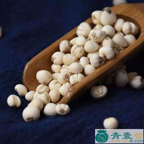 中药材伊贝母图片
