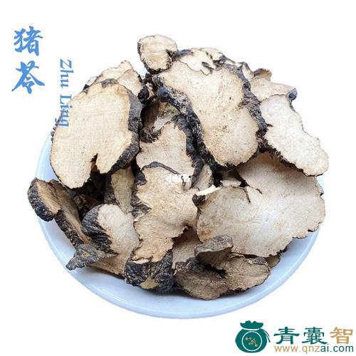 伏猪的性状性味归经以及功效用法和注意事项-青囊智
