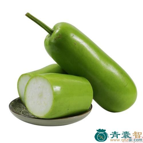 中药材伏瓜图片