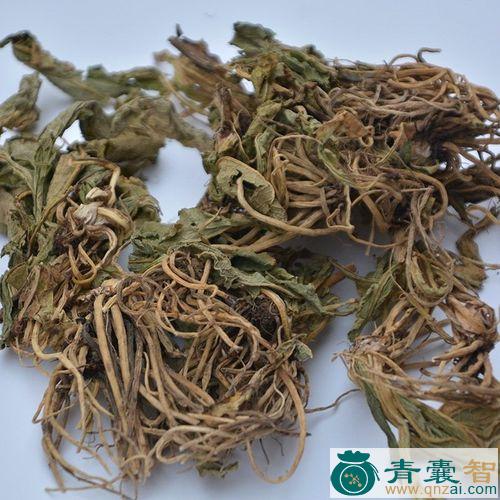 中药材伞旦花图片