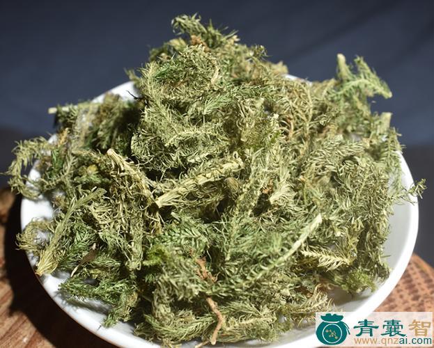 中药材伸筋草图片