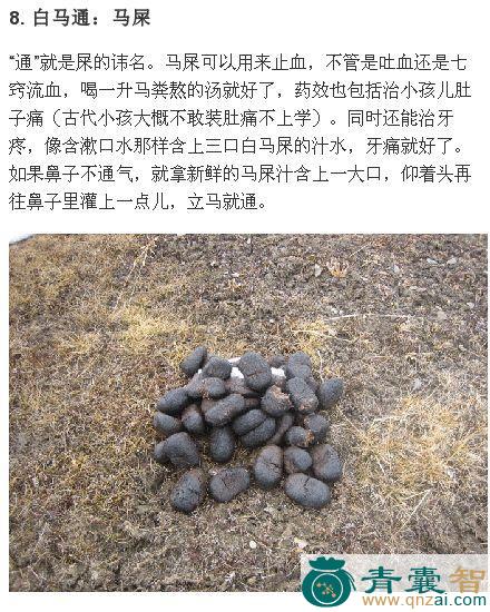 中药材似铁屎米图片
