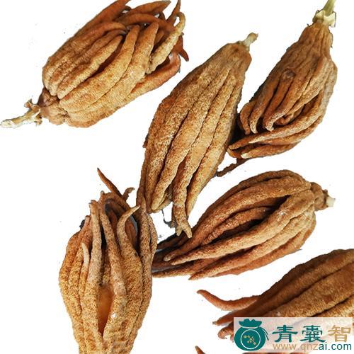 中药材佛头果图片
