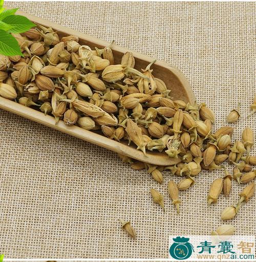 佛相花的性状性味归经以及功效用法和注意事项-青囊智