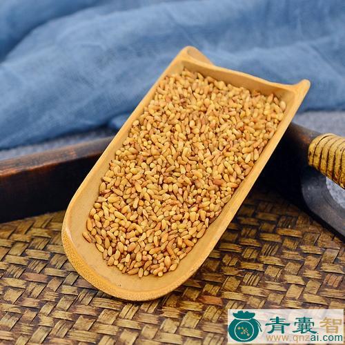 中药材侧柏子图片