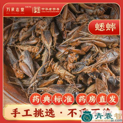中药材促织图片