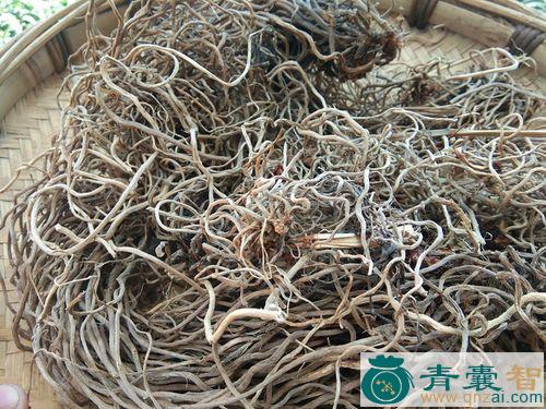 中药材倒竹散图片