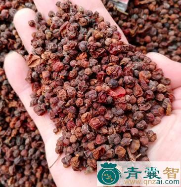 中药材假五味子图片