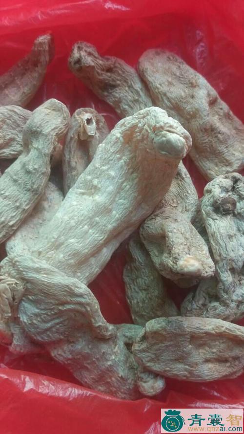 中药材假天麻图片