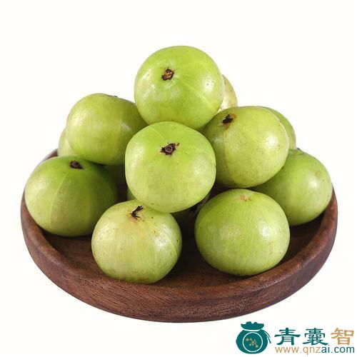 中药材假油柑图片