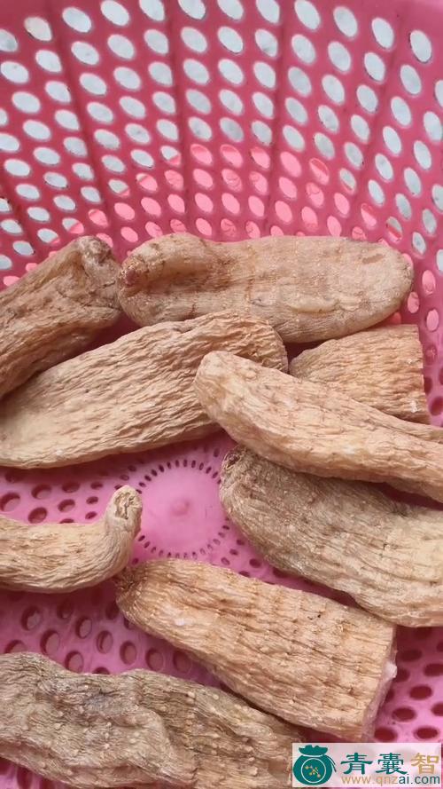 假络麻的性状性味归经以及功效用法-青囊智