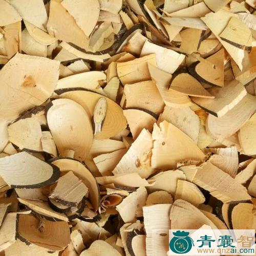 中药材假苦楝图片