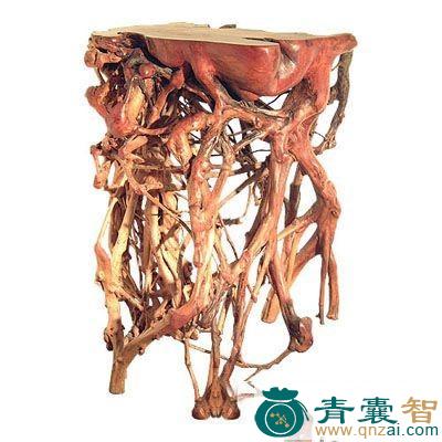 中药材假荔枝根图片