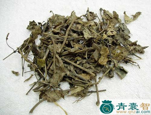 中药材假蒟根图片