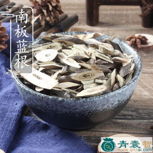 中药材假蓝根图片