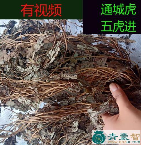 中药材假通城虎图片