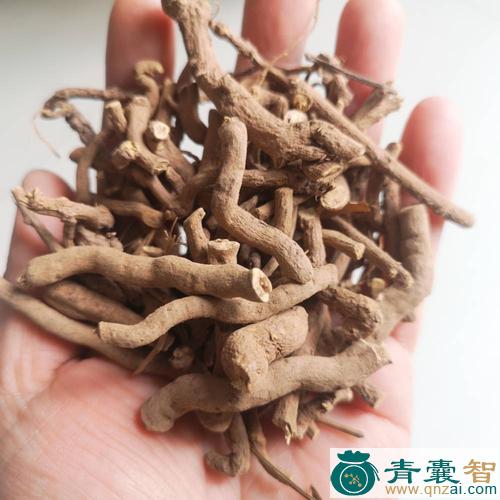 中药材假通虎城图片