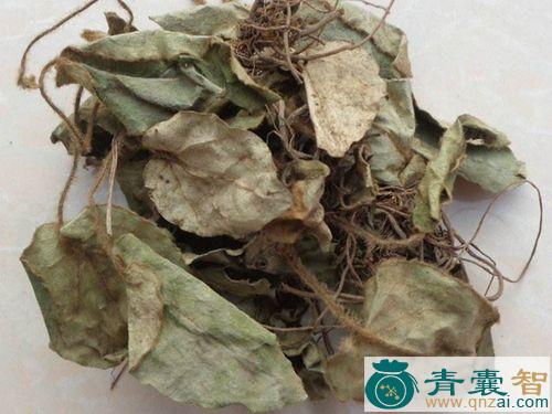 假香附的性味归经以及功效用法-青囊智