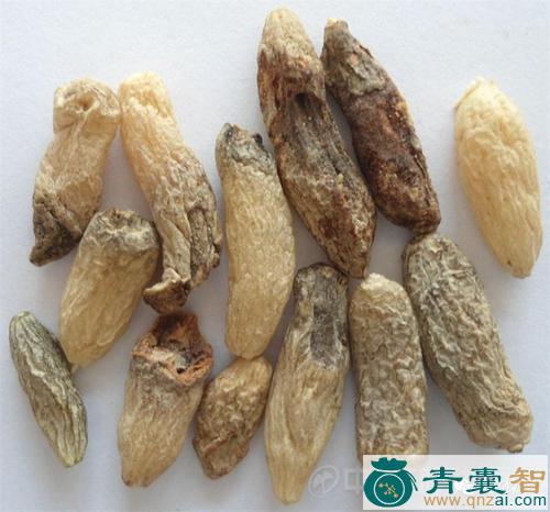 假麦冬的性味归经以及功效用法-青囊智
