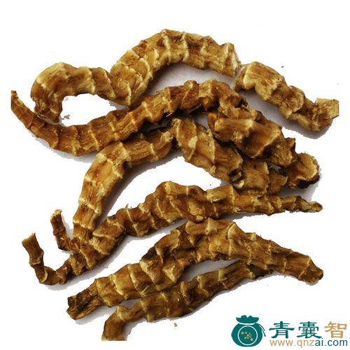 中药材偏竹参图片