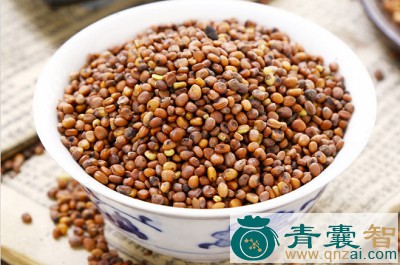中药材偶子图片